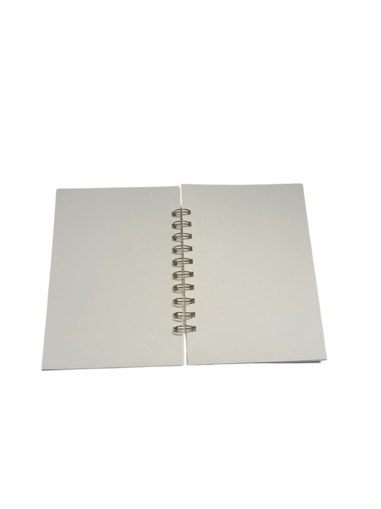 GOLD SKELETON MINI NOTEPAD BINDER